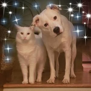 Meet your Posher, Anne